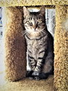 Cisco - Photo 2