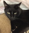 Louie - Photo 3