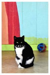 Arturo - Photo 4