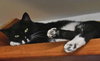 Arturo - Photo 2