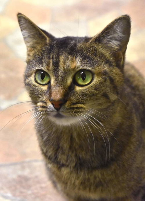 Photo 4 of Kit kat