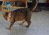 Willie - Photo 2