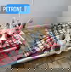 adoptable Dog in  named Petrone