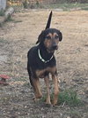 Franklin - Photo 1