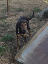 Franklin - Photo 2