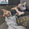 adoptable Dog in  named Feta