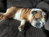 Babs - Photo 2