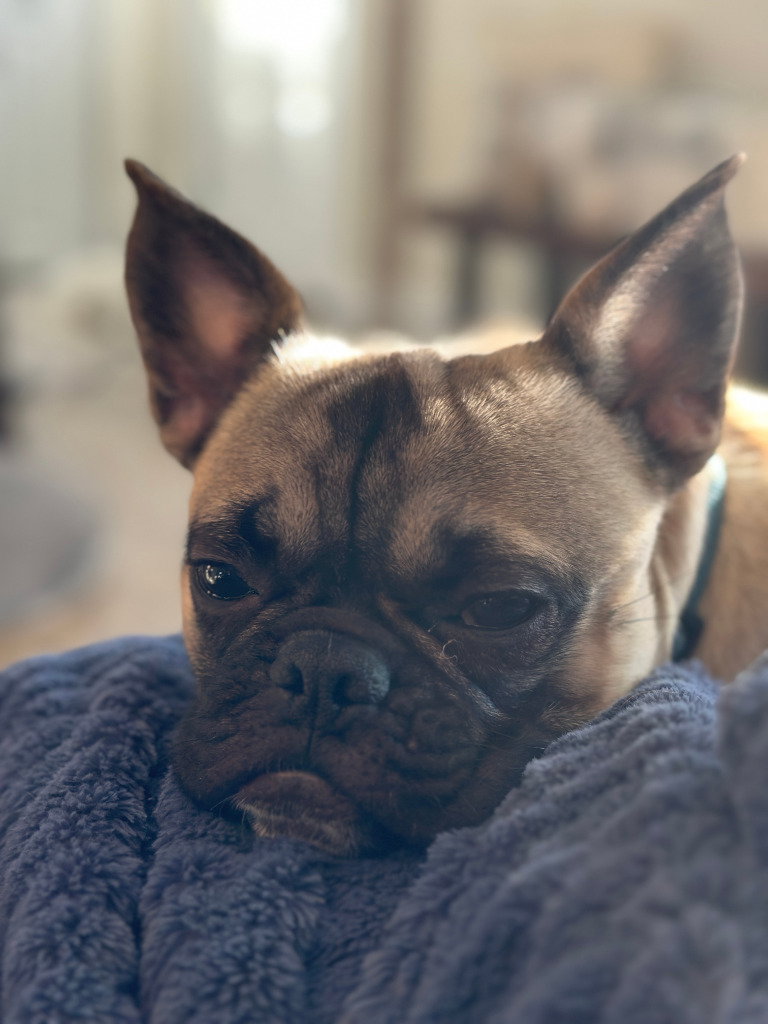Bowie