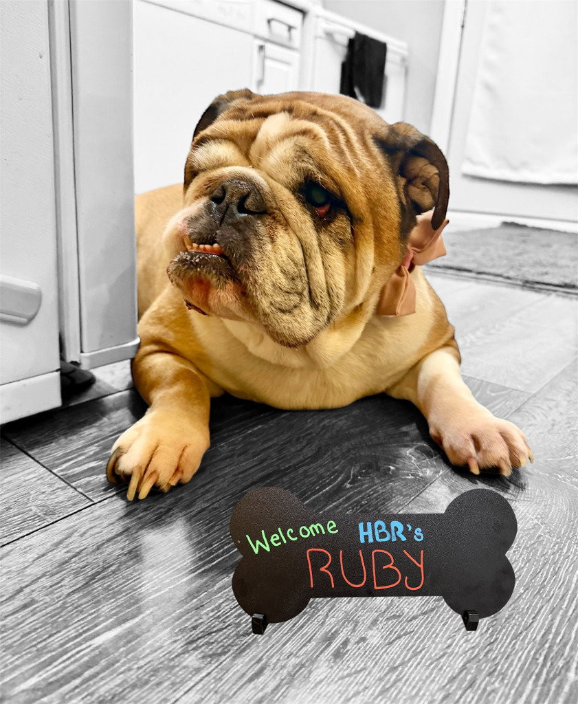 Ruby Image