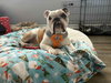 Ruthie - Photo 1