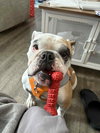 Ruthie - Photo 2