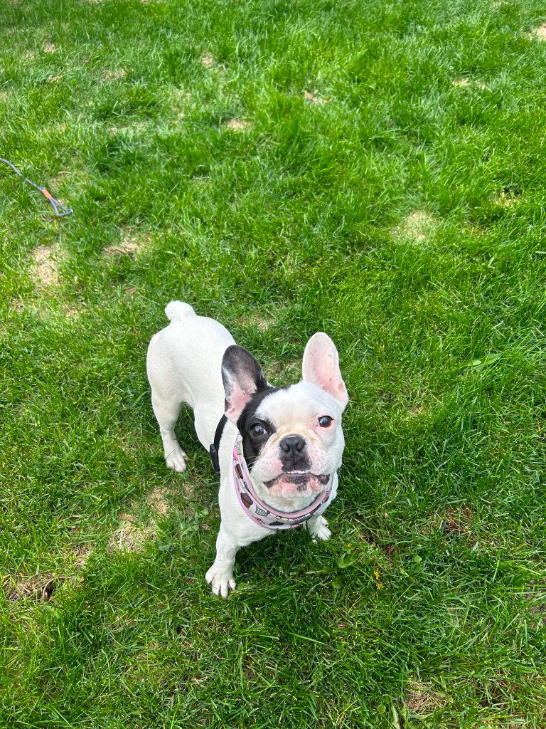 Fiona