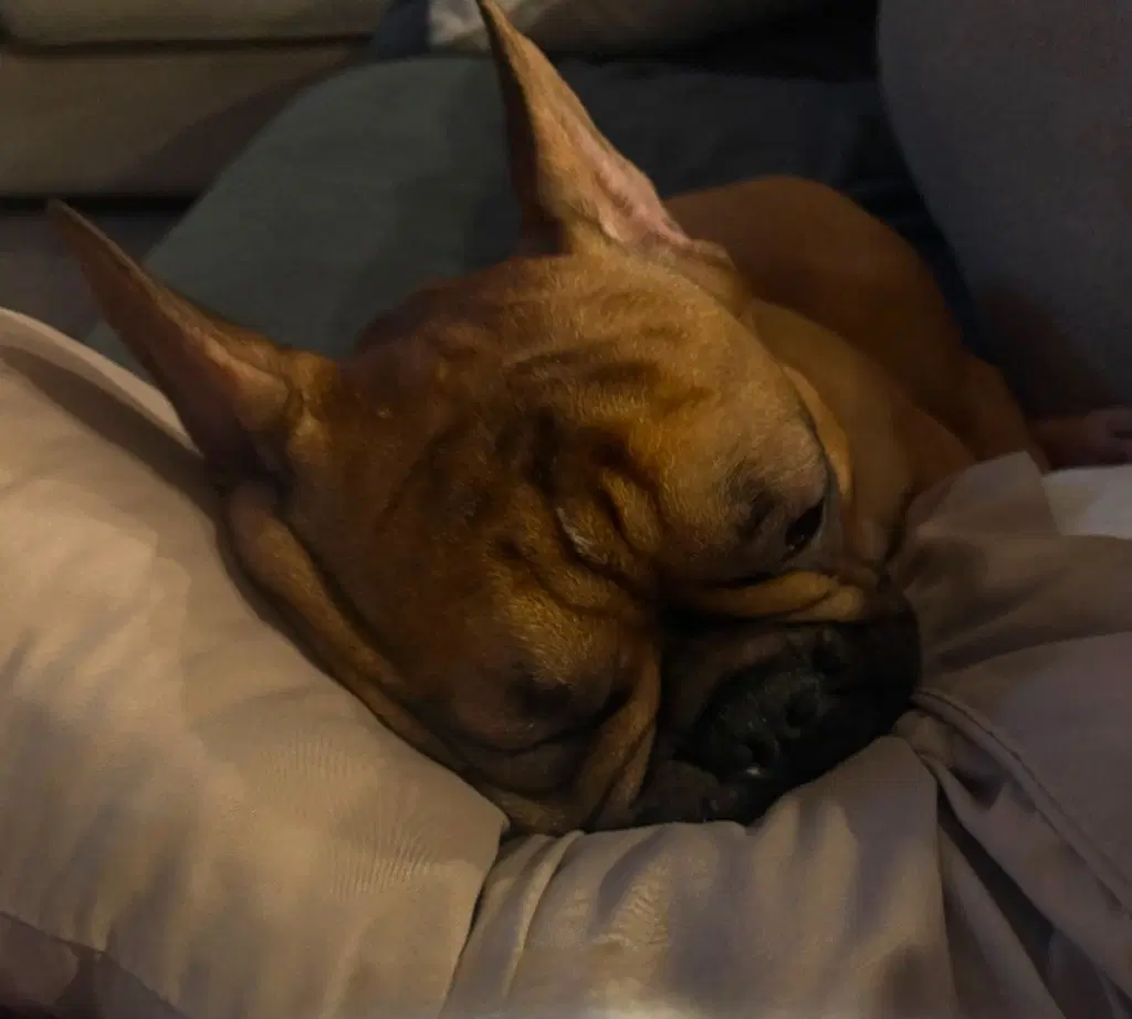 Benny image 4