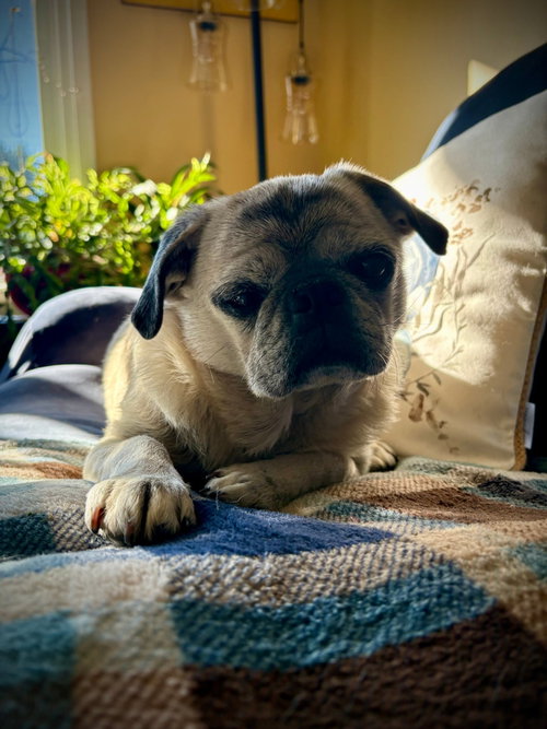 Photo 4 of Frank
