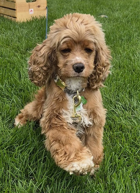 Photo 2 of Edie