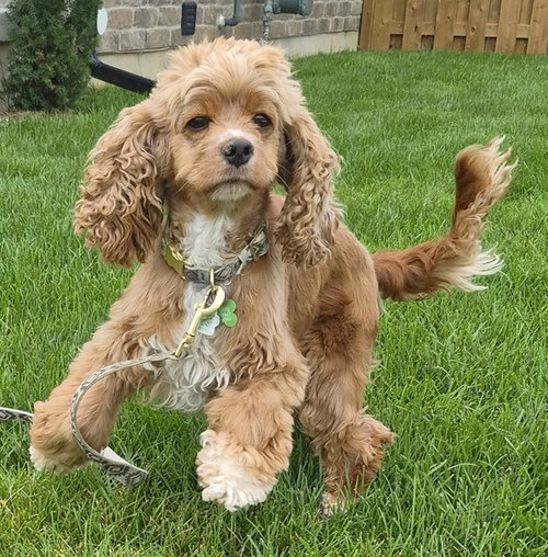 Photo 3 of Edie