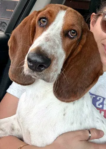 Lucy Aka Lula image 3