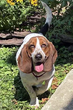 Lucy Aka Lula image 2