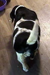 ELLIE C - Photo 3