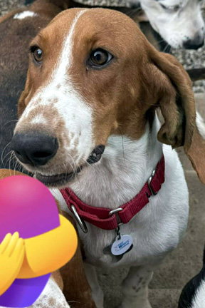 MIA