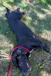 SAM - Photo 4