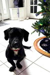 SAM - Photo 3