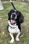MELVIN - Photo 2