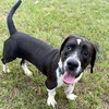 MELVIN - Photo 3
