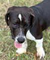 MELVIN - Photo 5