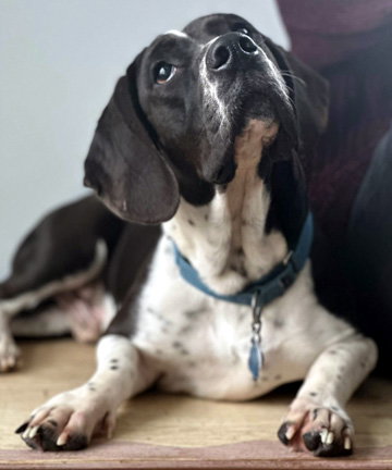 MELVIN