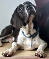 MELVIN - Photo 1