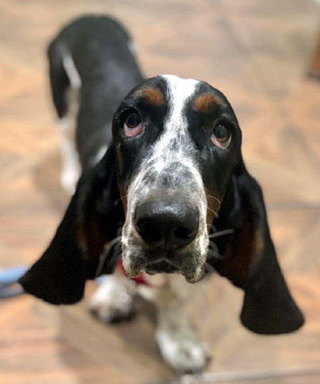 HUXLEY