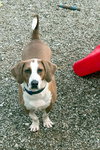 GEORGE - Photo 2