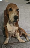 ATHENA - Photo 3