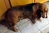 BESSIE - Photo 2