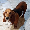 BESSIE - Photo 3