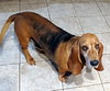 BESSIE - Photo 4