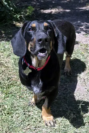 Carla image 2