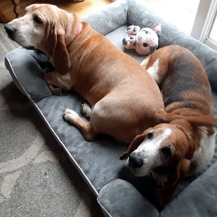 FRED & ELLIE