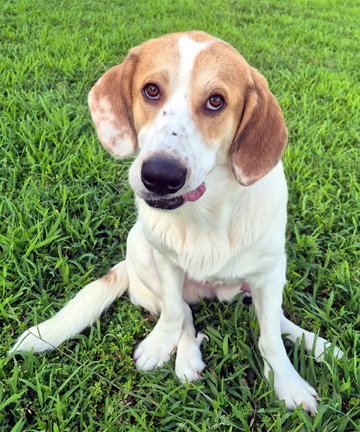 Gus photo 2