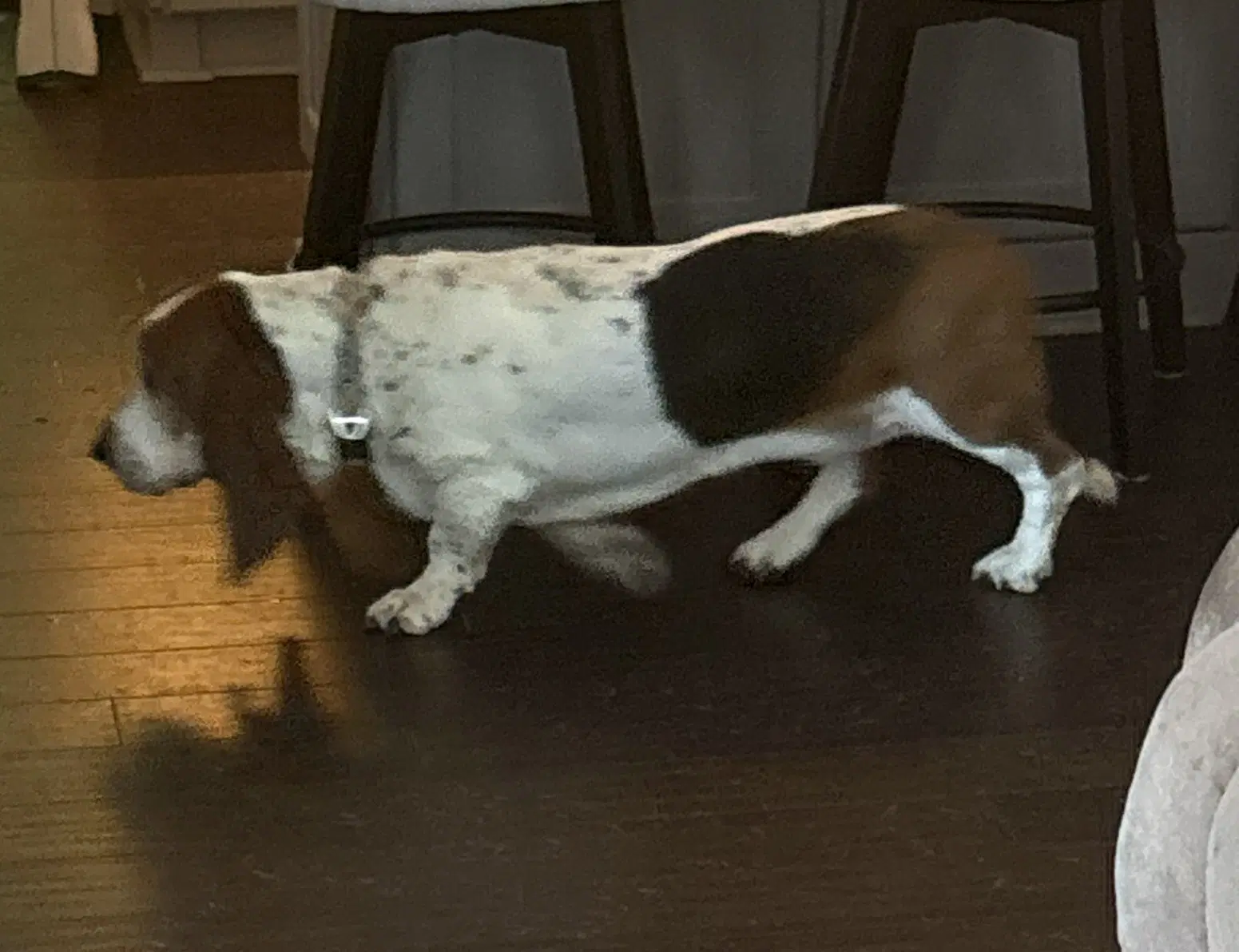 Norman image 2
