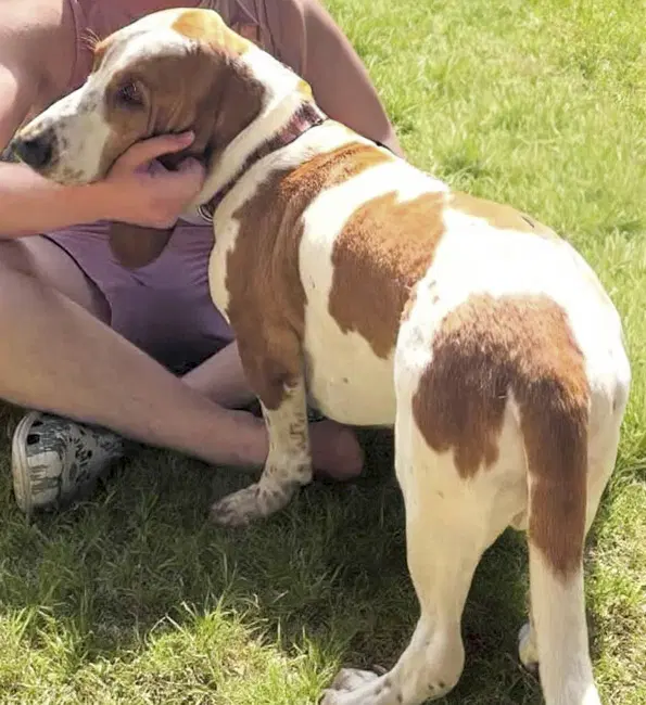 Hannah image 3