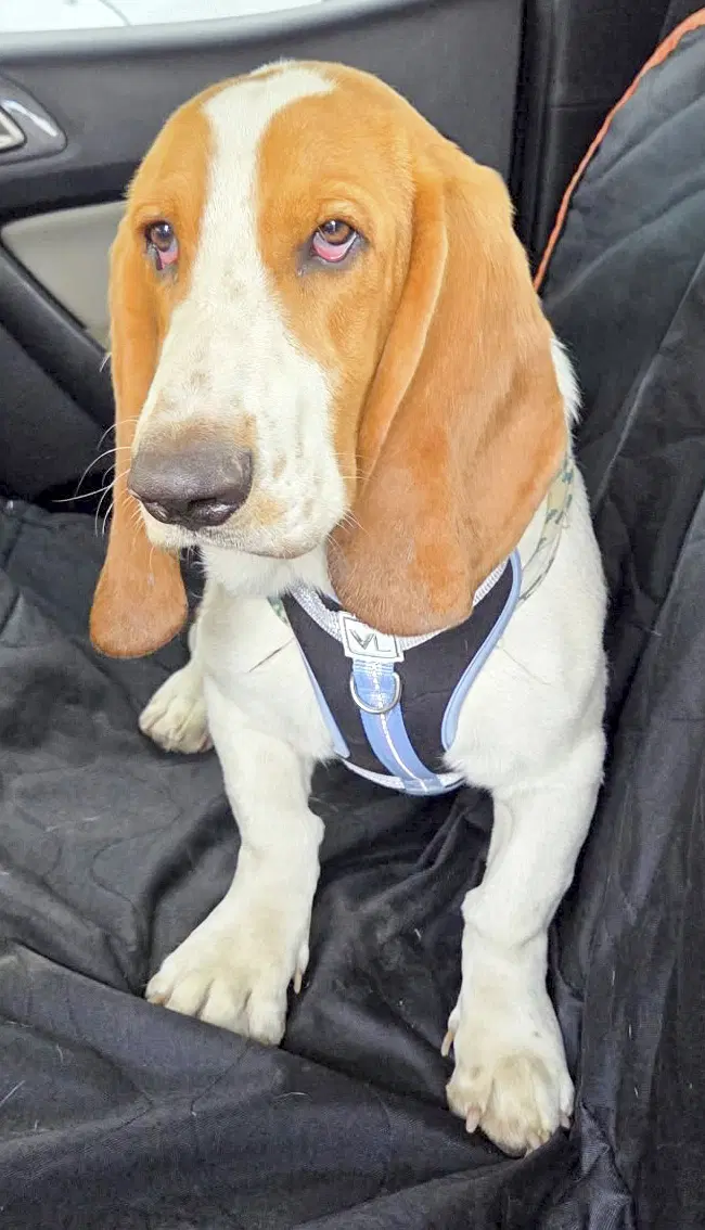 Max image 3