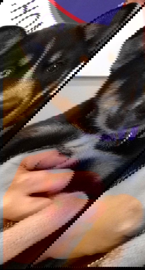 Kiya