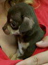 Munk (kna Mickey)