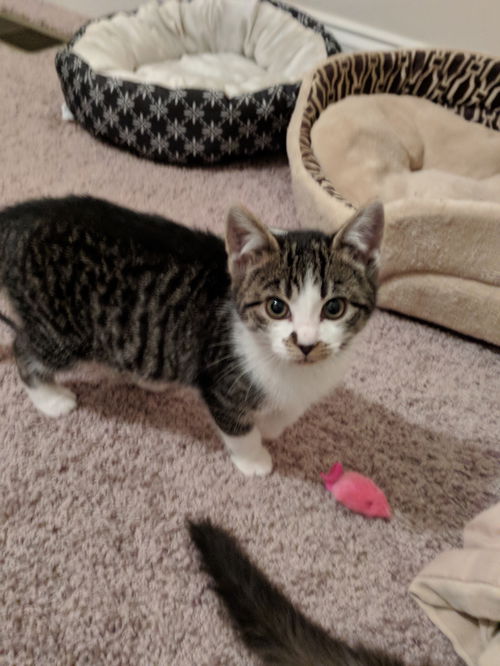 Juno