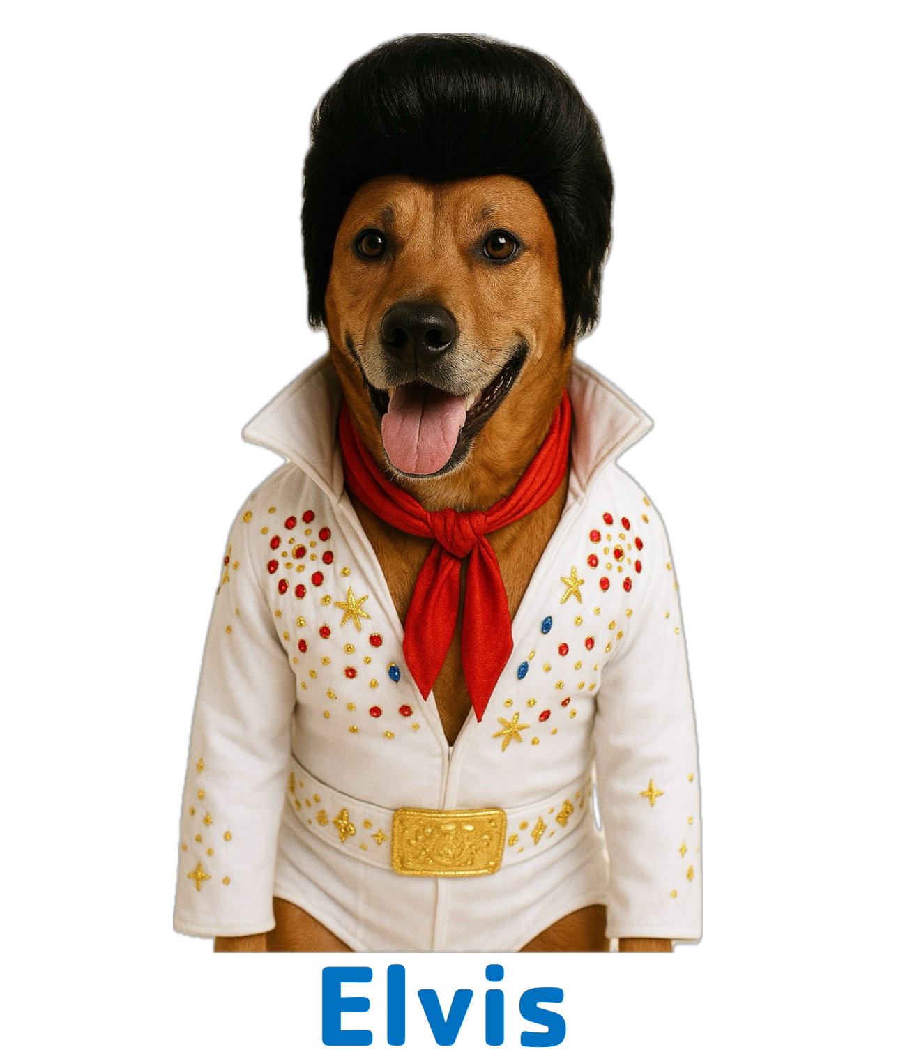 Elvis, photo 8