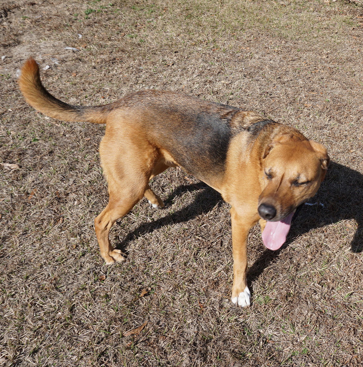 Elvis, photo 14