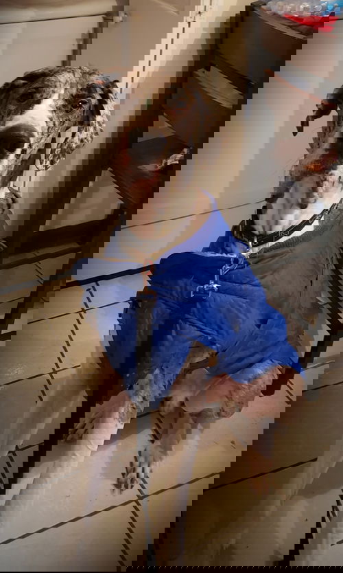 Max