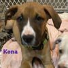 Kona (KNA Koda)